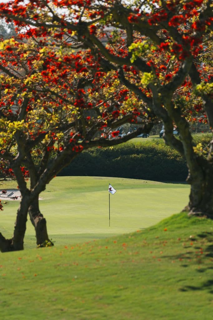 Monarch Beach Stay & Play - Image 8