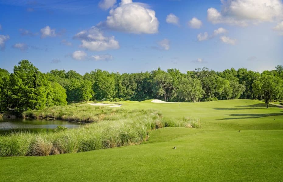 World Golf Village - Image 5