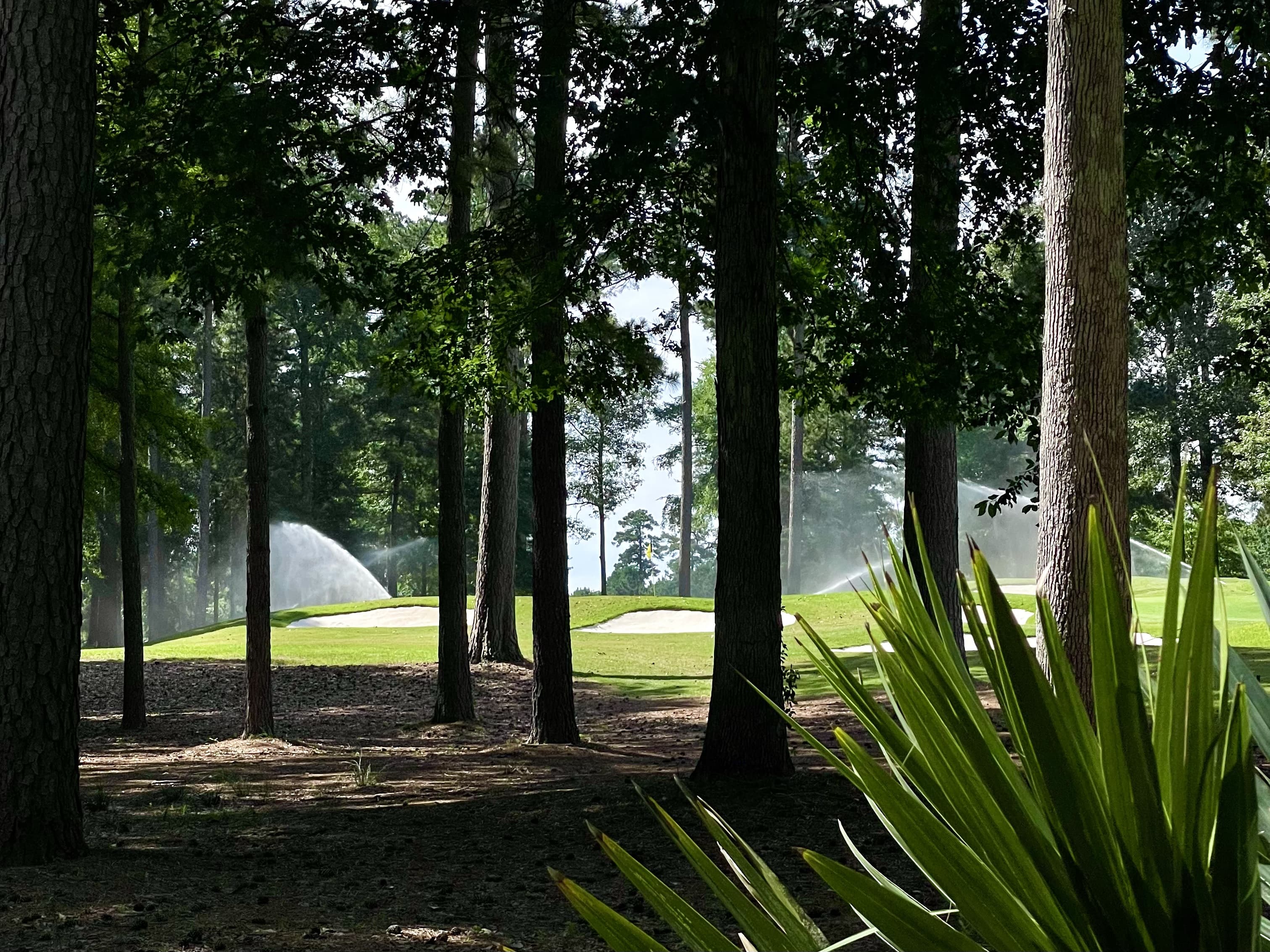 Mystic Creek Golf Experience - Image 2