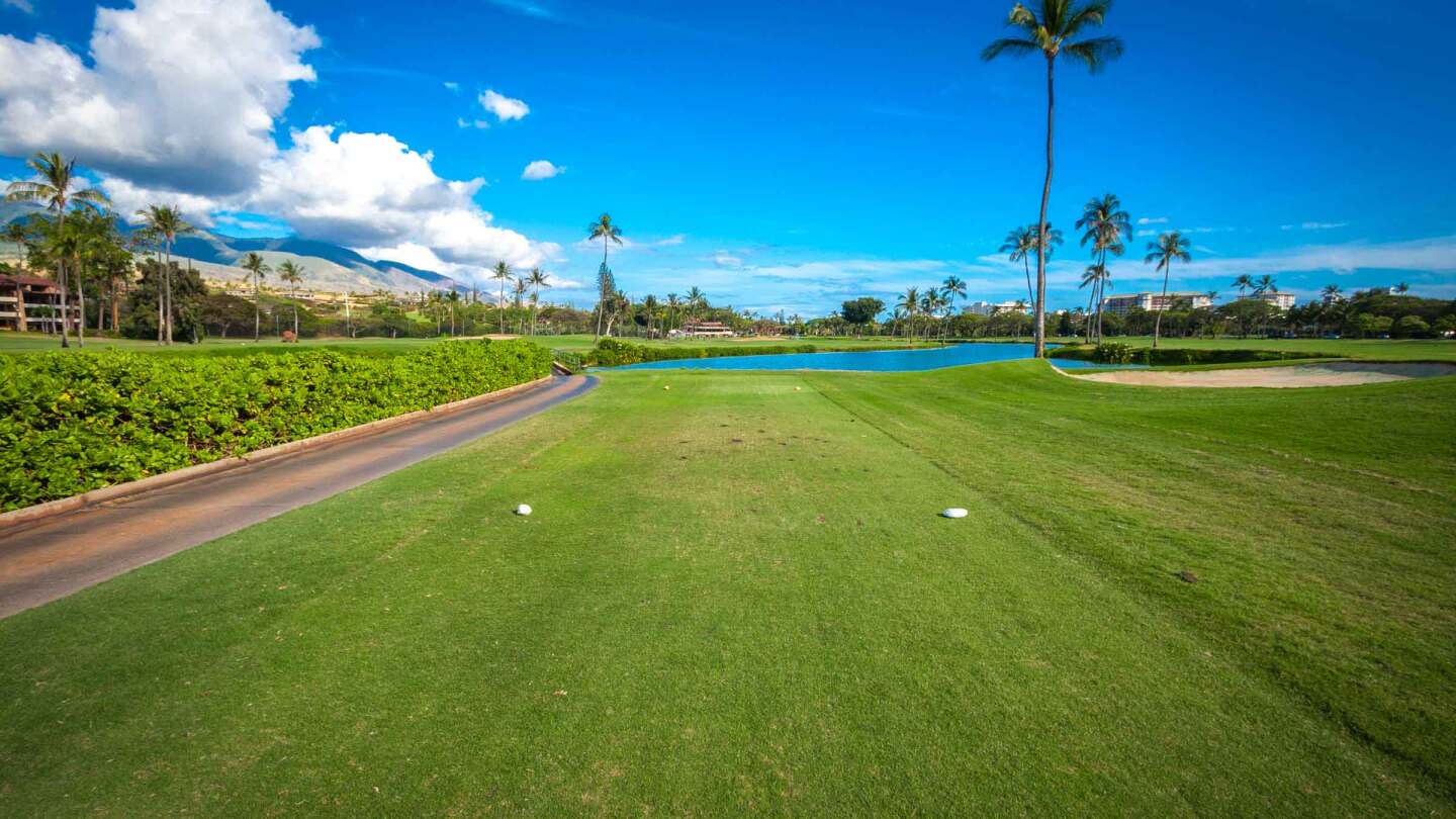 Ka'anapali S&P - Image 4