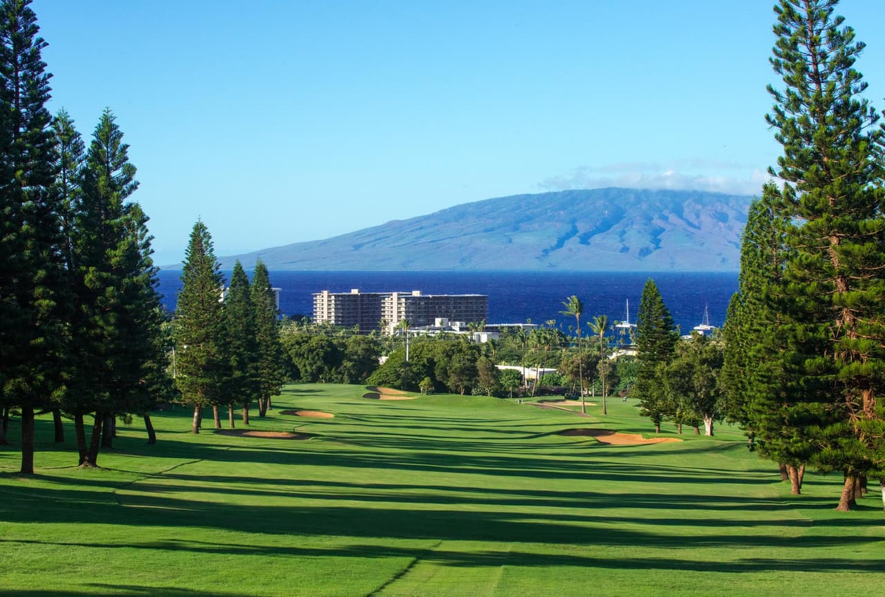 Ka'anapali S&P - Image 2