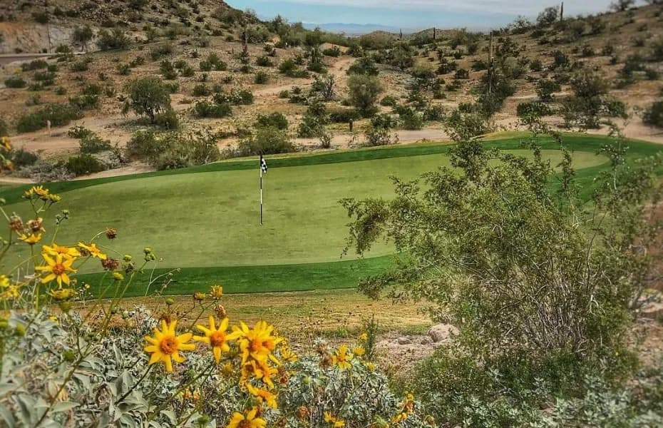 PHX Buddies Trip Adventure - Image 2