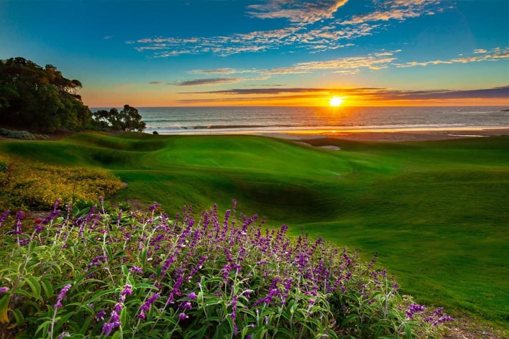 Monarch Beach Stay & Play - Image 2